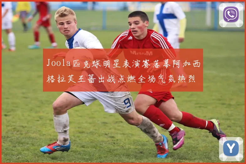 Joola匹克球明星表演赛落幕阿加西格拉芙王蔷出战点燃全场气氛热烈