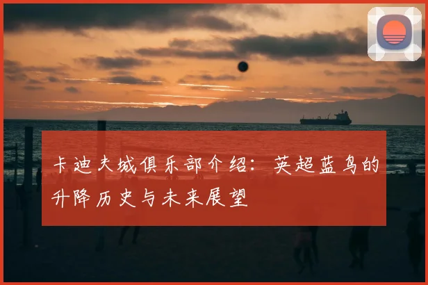 卡迪夫城俱乐部介绍：英超蓝鸟的升降历史与未来展望