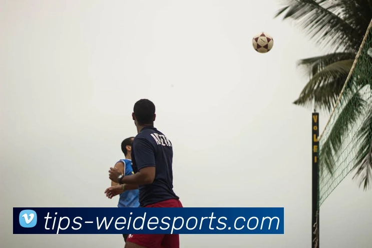 伟德体育服务体系